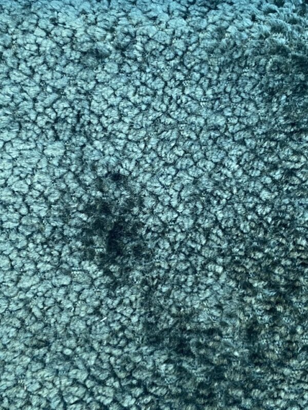 Aphrodite -13- Rain Forest